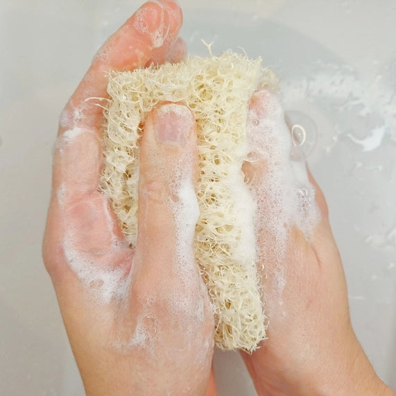 Esponja Corpo Loofah