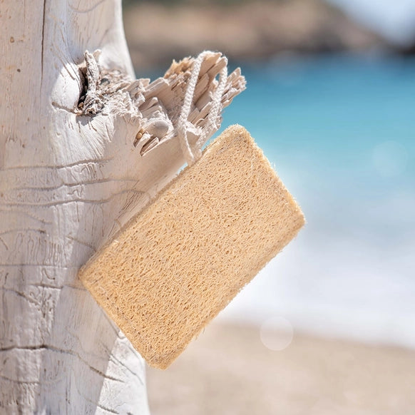Esponja de loofah natural e biodegradável