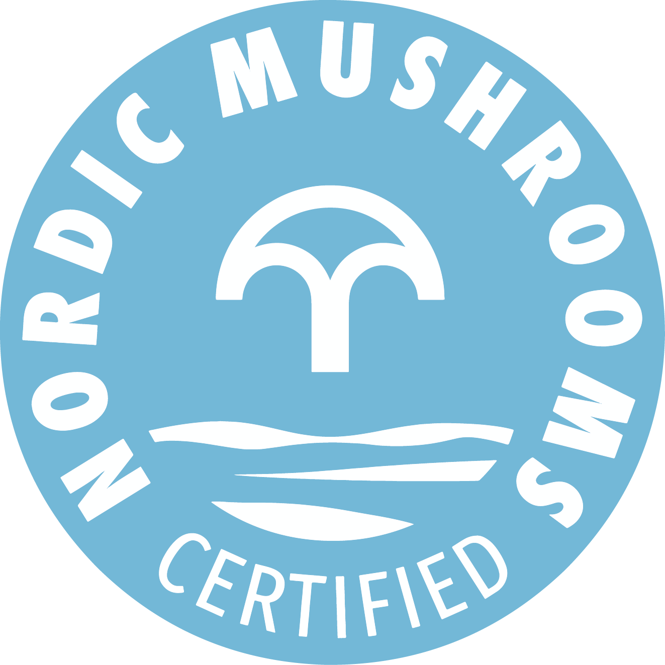 MicoVital® Chaga – Extrato Líquido 50 ml