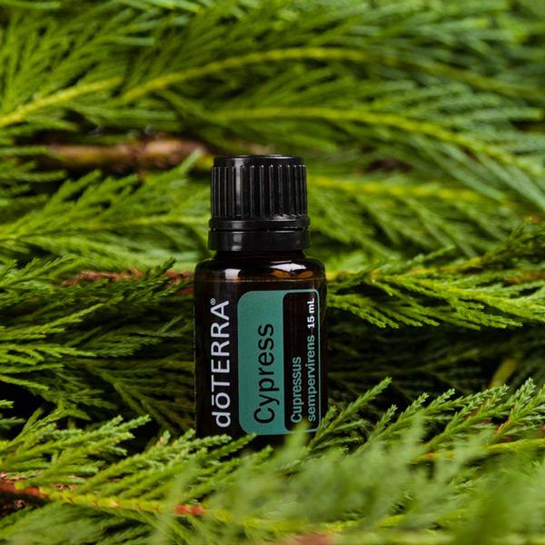 Cipreste – 15 ML – DOTERRA