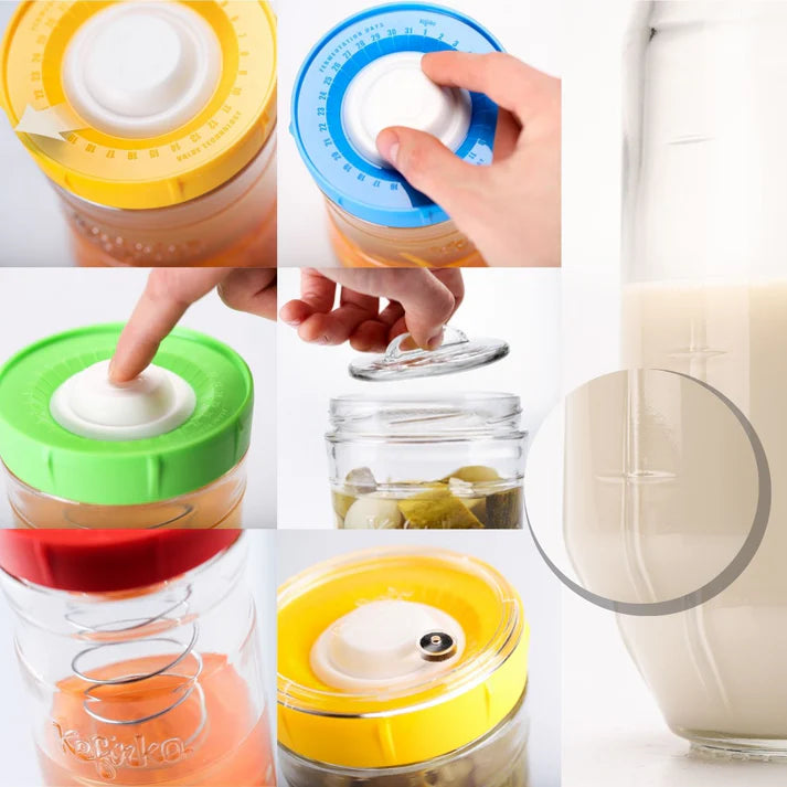 Fermentador de vegetais