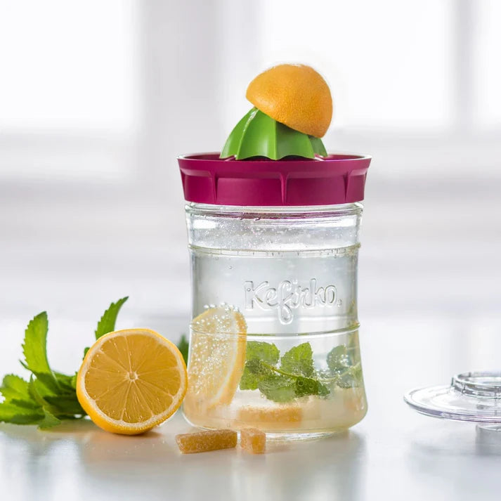 Kefir Maker (Fermentador de Kefir)