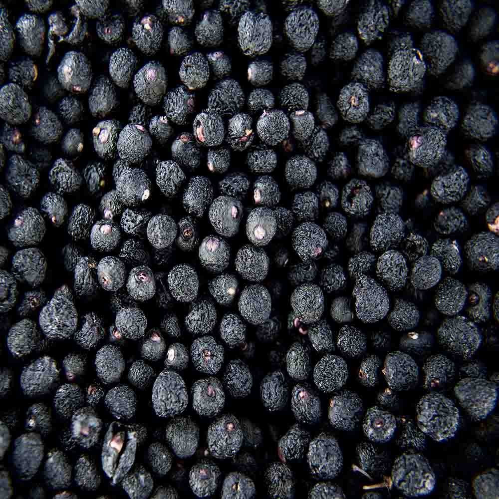 Maqui Berry 100g Eco