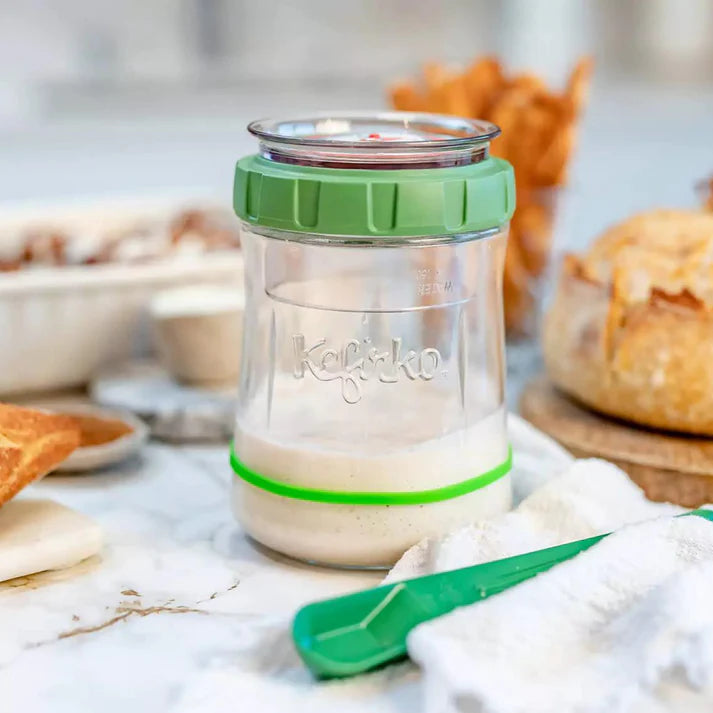 Fermentador de Massa Mãe