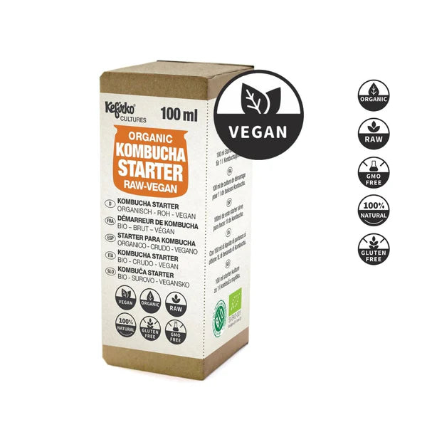Fermentador de Kombucha (4L)