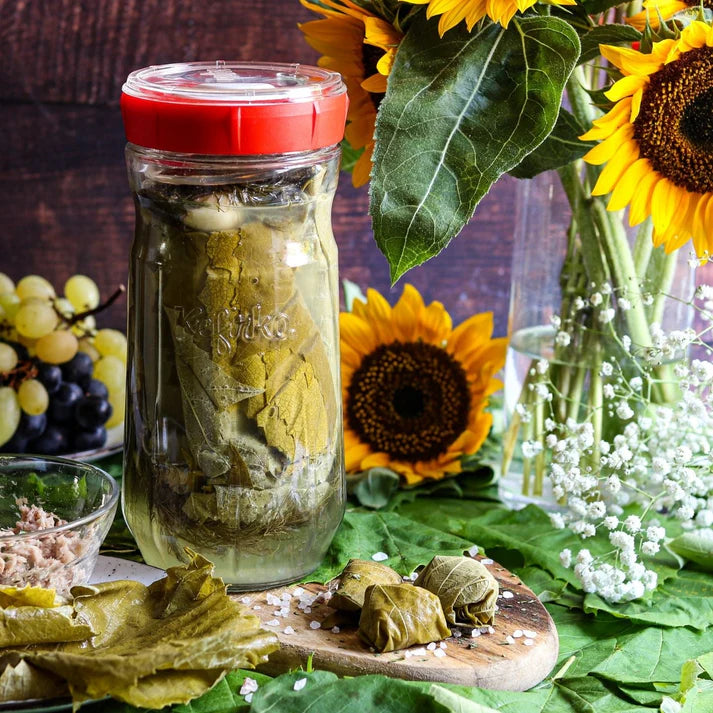 Fermentador de vegetais