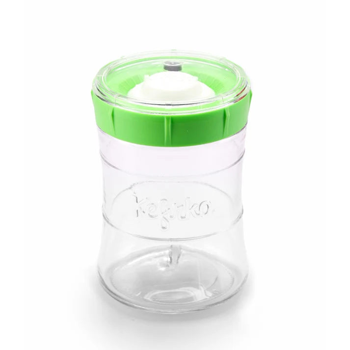 Fermentador de vegetais