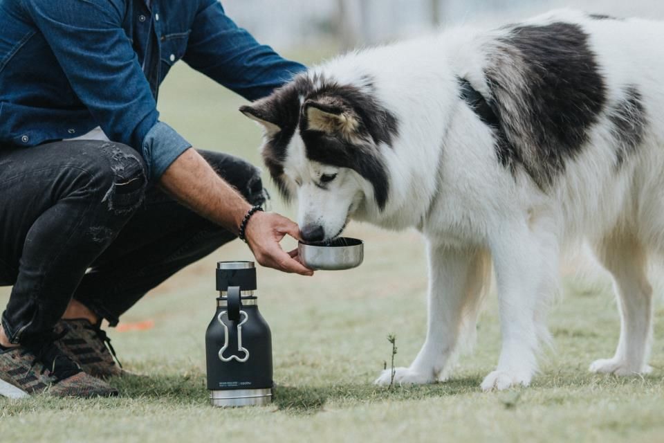 Garrafa térmica de 1L + tigela de aço inoxidável para animais de estimação