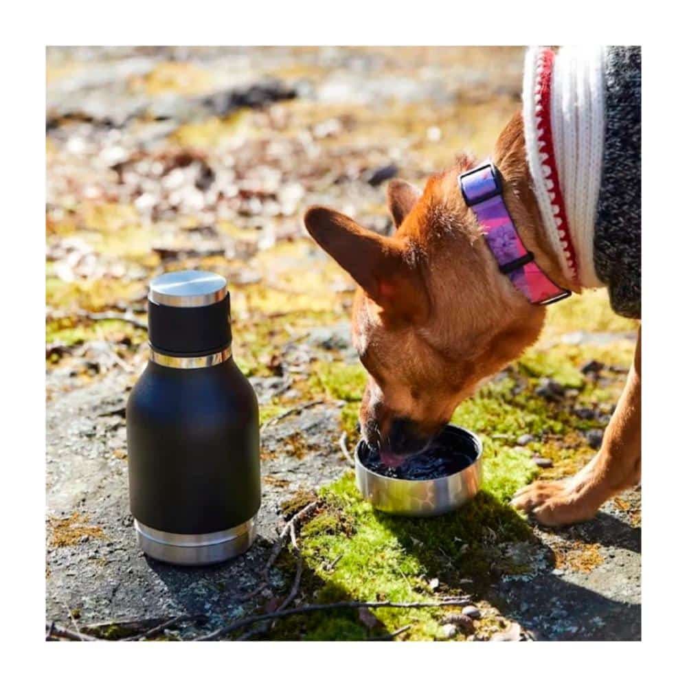 Garrafa térmica de 1L + tigela de aço inoxidável para animais de estimação