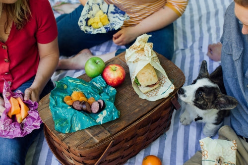Bee's Wrap - Invólucro de Cera de Abelha - 3 x M