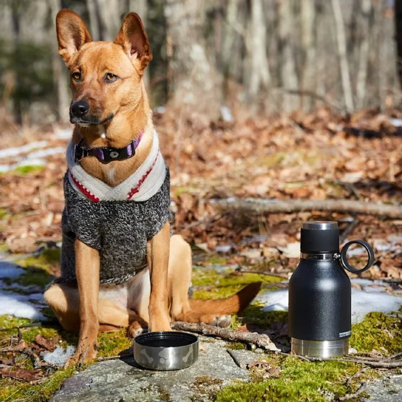 Garrafa térmica de 1L + tigela de aço inoxidável para animais de estimação