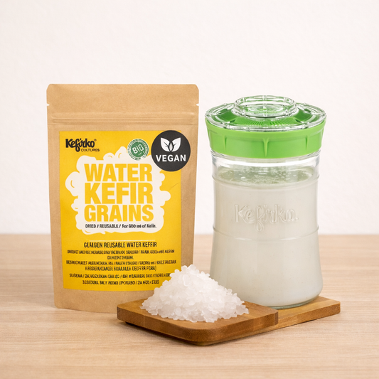 Kefir Maker (Fermentador de Kefir)