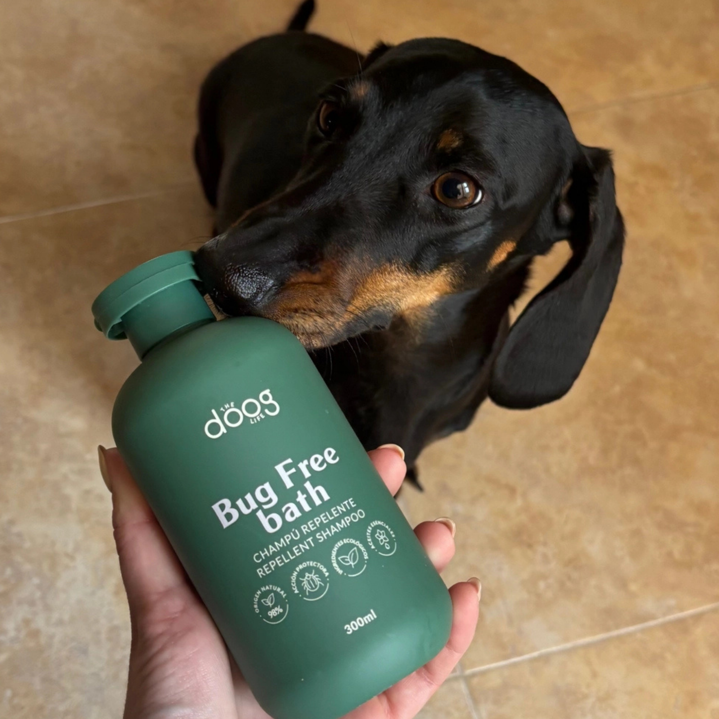Champô Repelente Natural para Cães