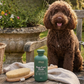 Champô Repelente Natural para Cães