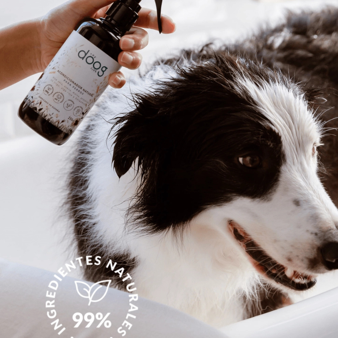 Bruma 3 em 1 para Cães – Lavanda - 250ML