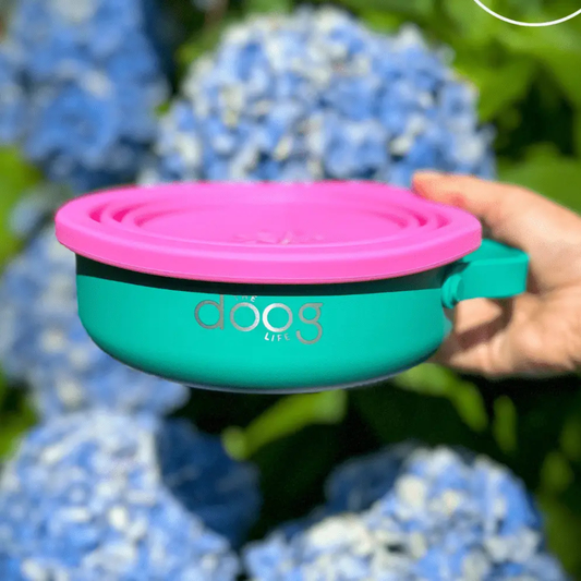 Comedouro e Bebedouro Portátil Dobrável para Cães 🐾