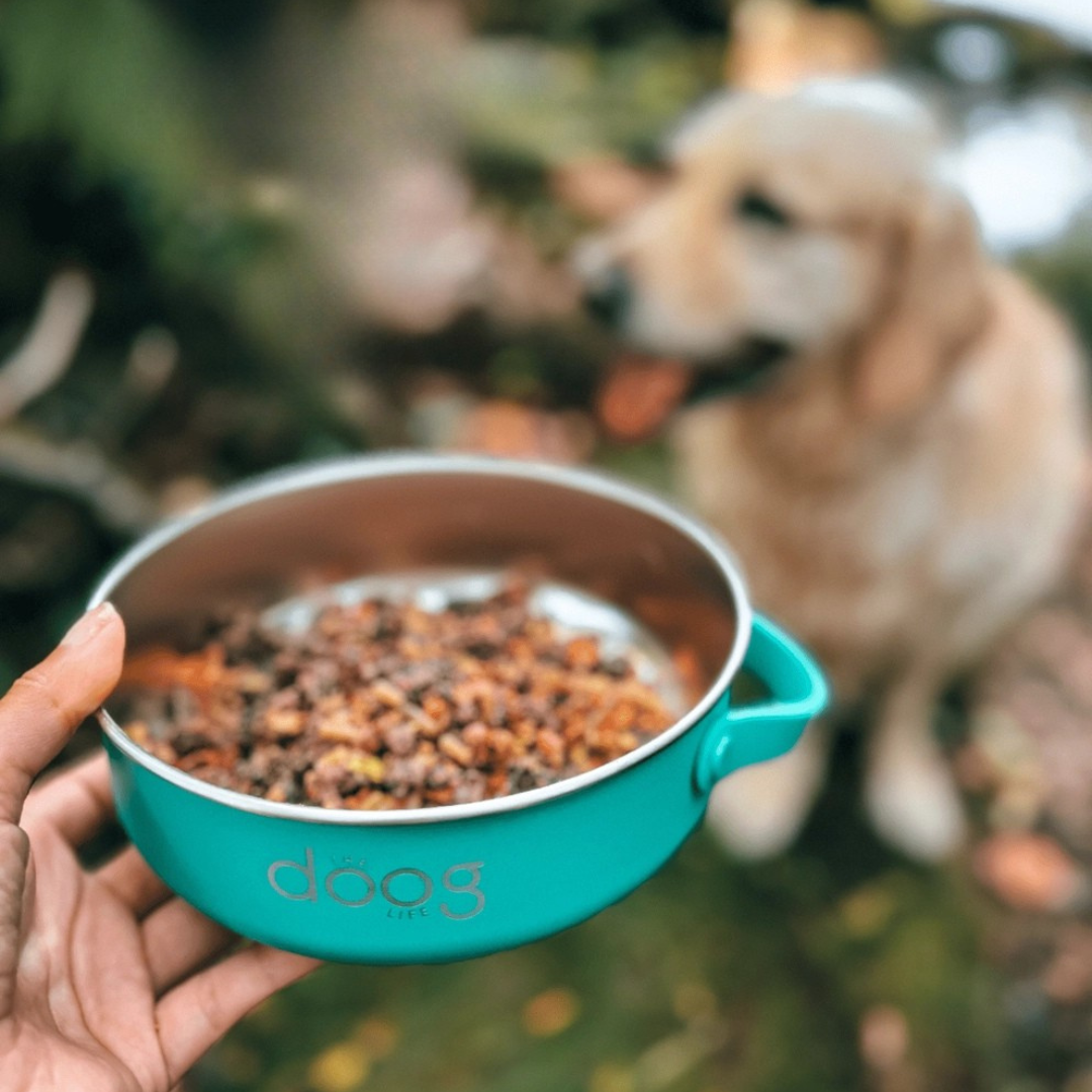 Comedouro e Bebedouro Portátil Dobrável para Cães 🐾