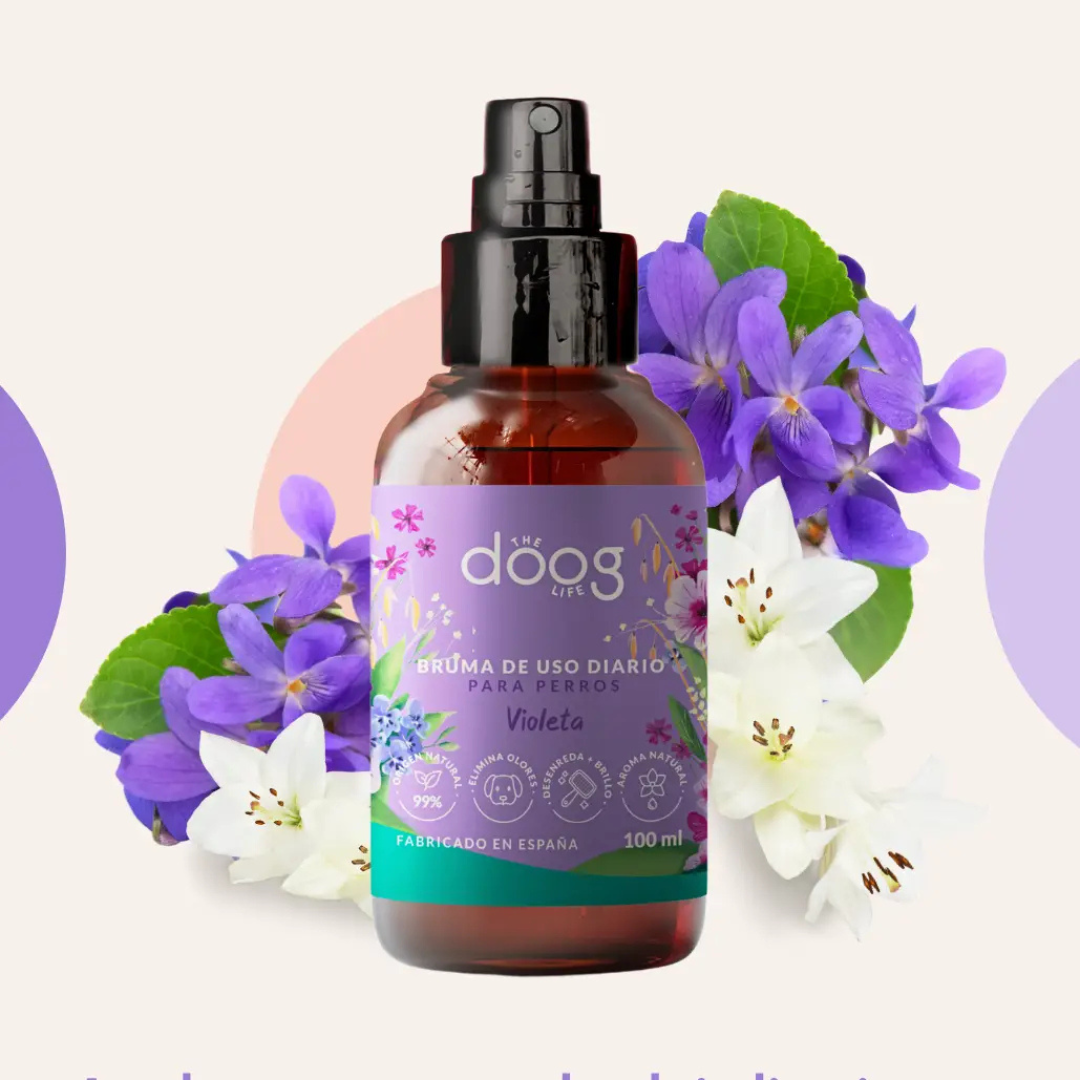 Bruma 3 em 1 "Para Levar" – Violeta 💜🐾 - 100ML