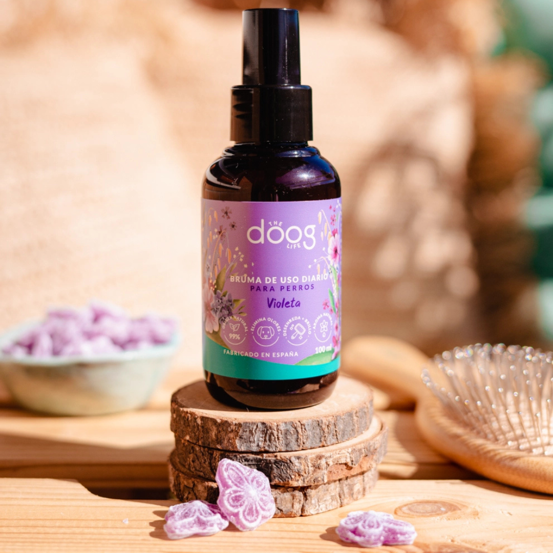 Bruma 3 em 1 "Para Levar" – Violeta 💜🐾 - 100ML