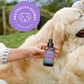 Bruma 3 em 1 "Para Levar" – Violeta 💜🐾 - 100ML