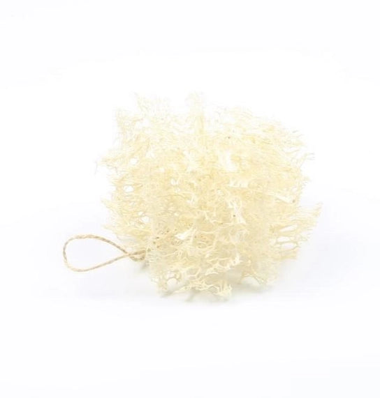 Esponja Loofah Pish | Biodegradável | Planta Egípcia Macia