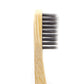 Escova de dentes de bambu - Adulto