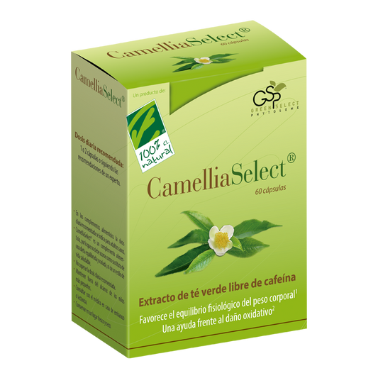 CamelliaSelect – 60 cápsulas vegetais