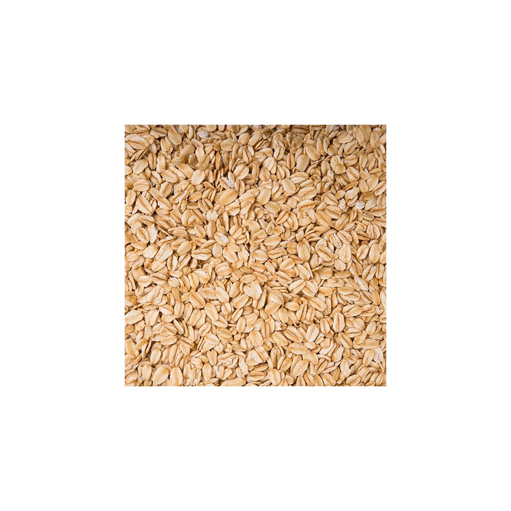 Flocos de Aveia Germinada 250g Eco