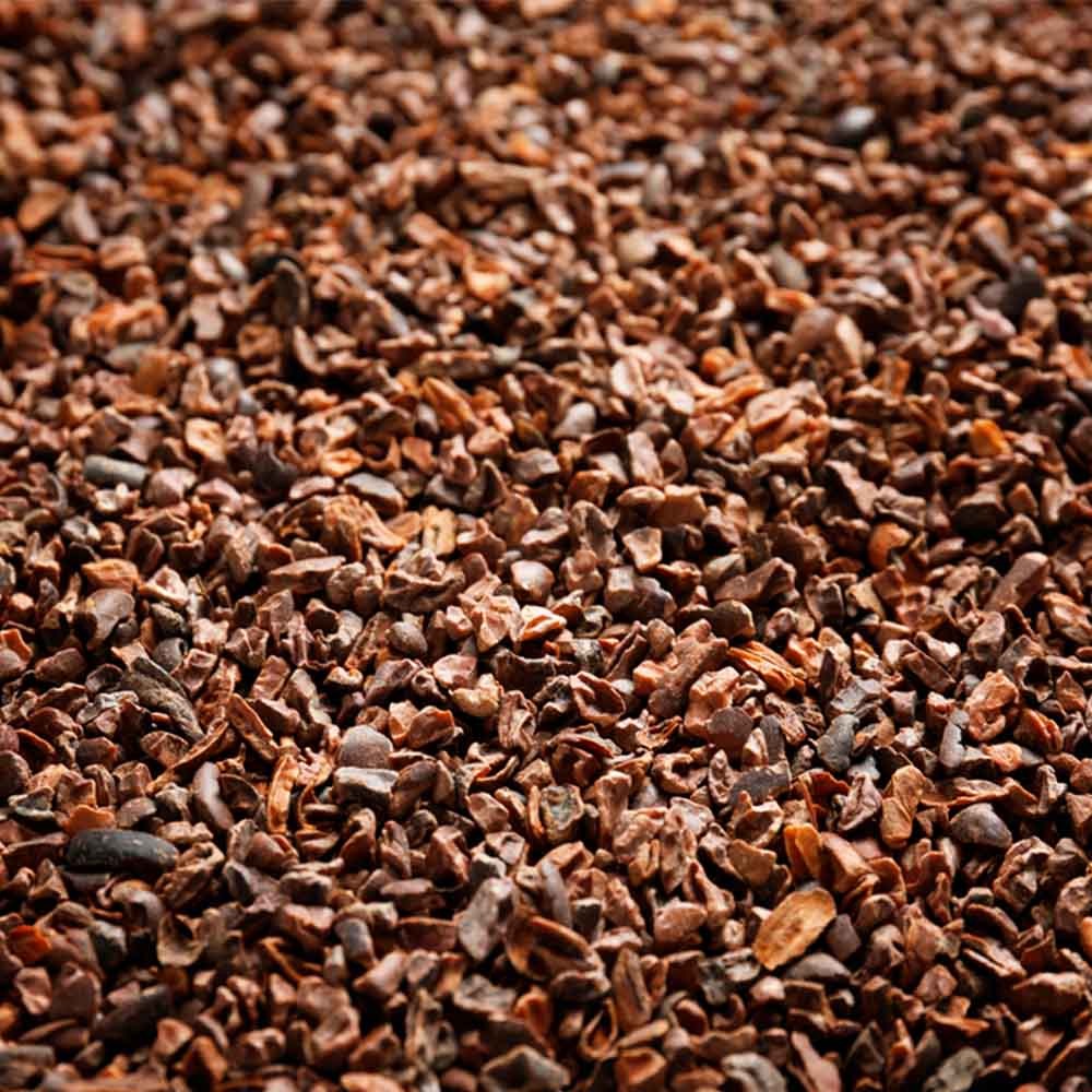 Nibs de Cacau Bio 250g