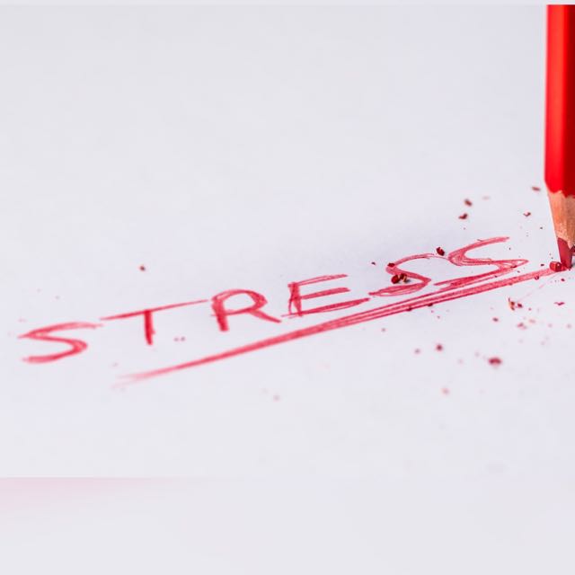 Vamos reduzir os níveis de stress?